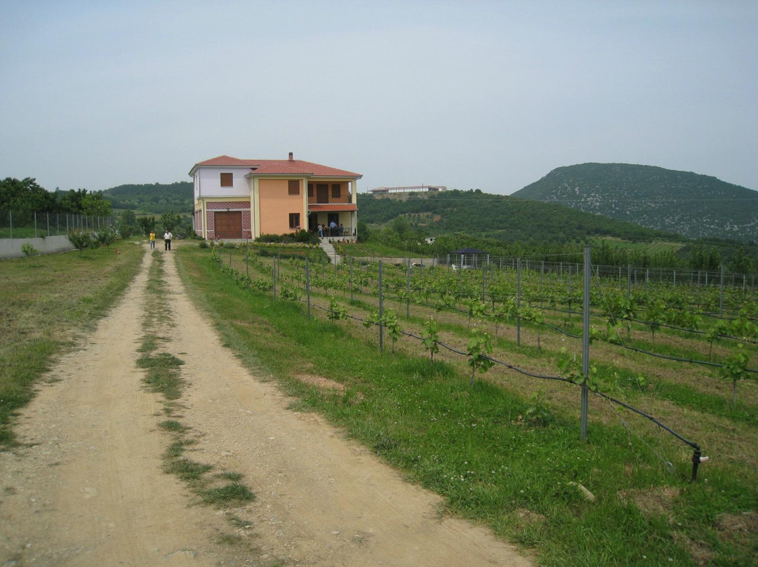 Argatia Winery-Naousa必去景点