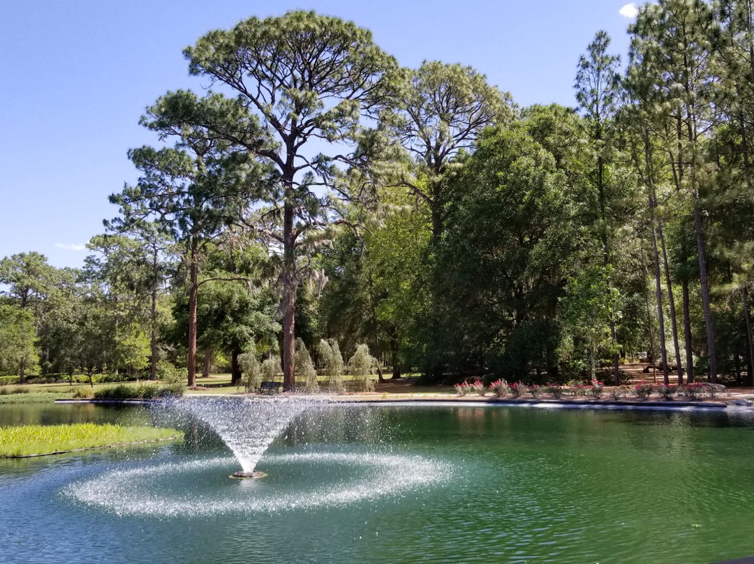 奥卡拉旅游景点-Sholom Park