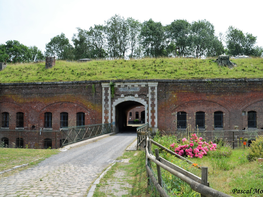 Fort de Seclin景点图片