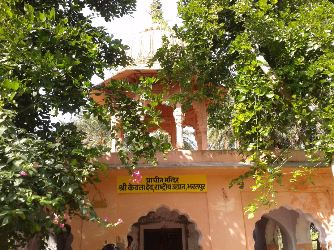 Keoladeo Shiva temple-Bharatpur District必去景点