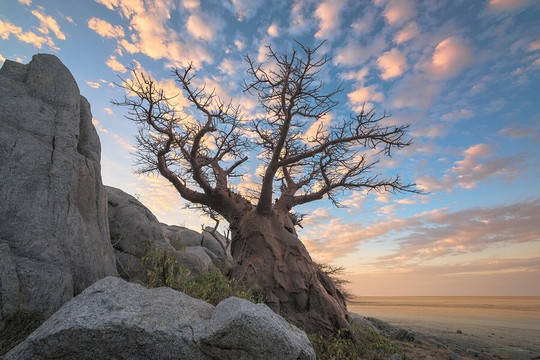 null-Makgadikgadi Pans National Park