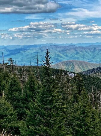 Hike It Florida-University Park必去景点