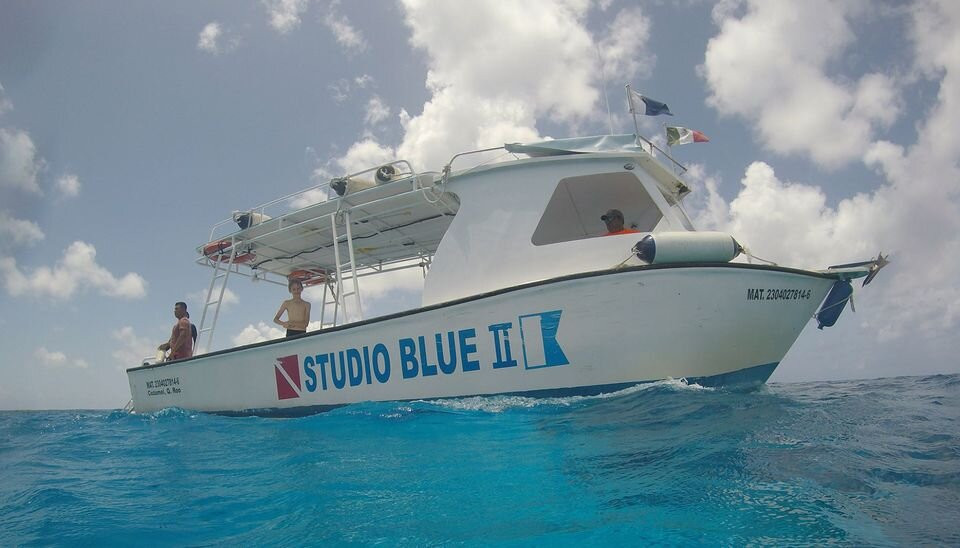 Studio Blue Cozumel Divers-考祖梅必去景点