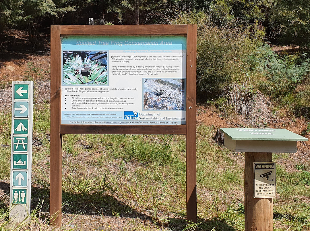 Lightning Creek Campground景点图片