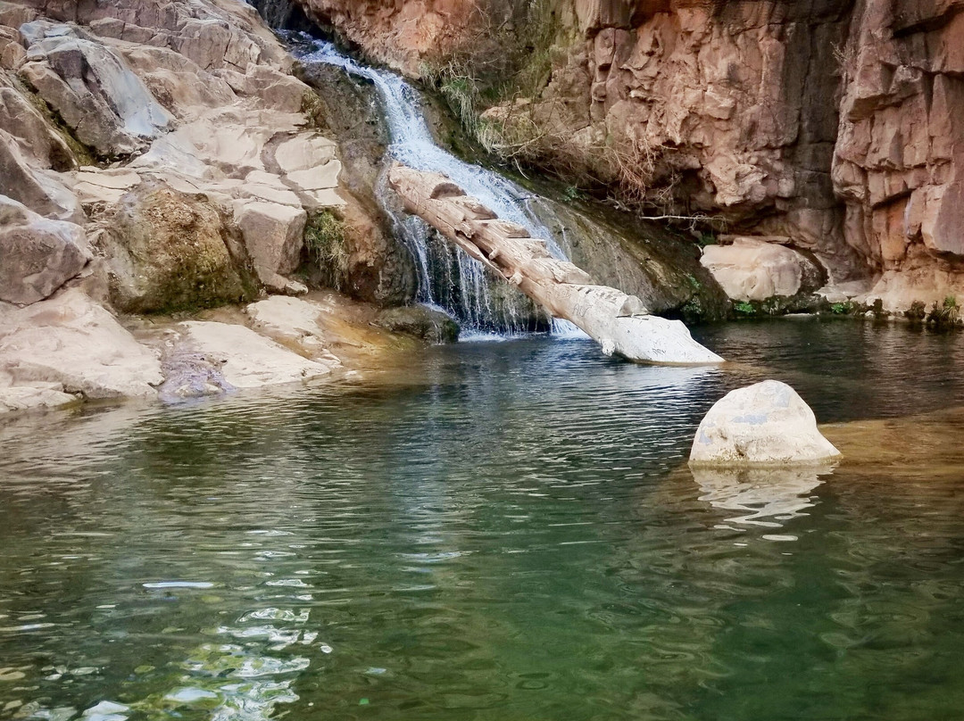 Ellison Creek Waterfall