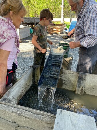 Alaska Gold Panning with Prospector John景点图片