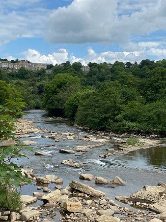 Rosedale House主图