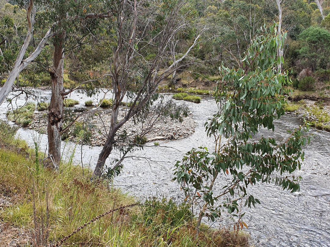 W T F Corner-Glen Valley必去景点