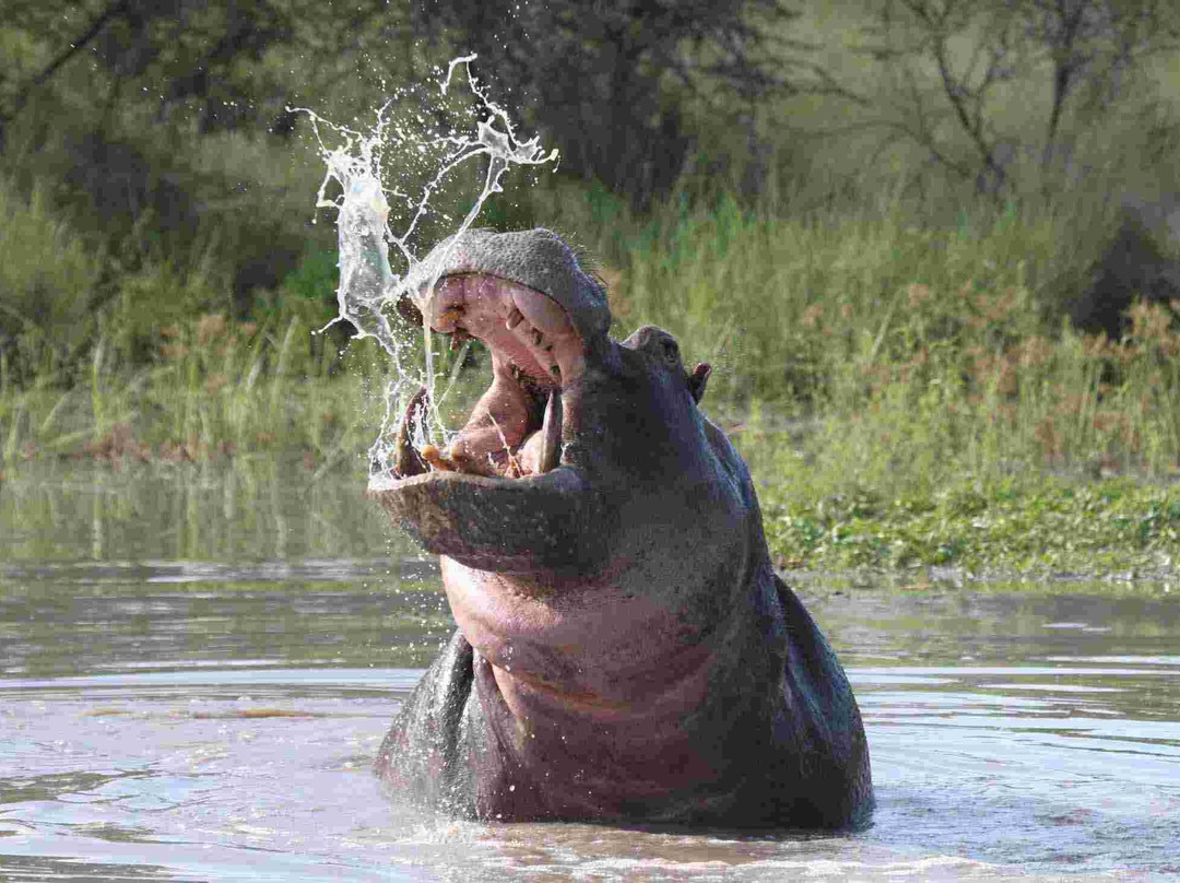 Fortune Tours Uganda-坎帕拉必去景点