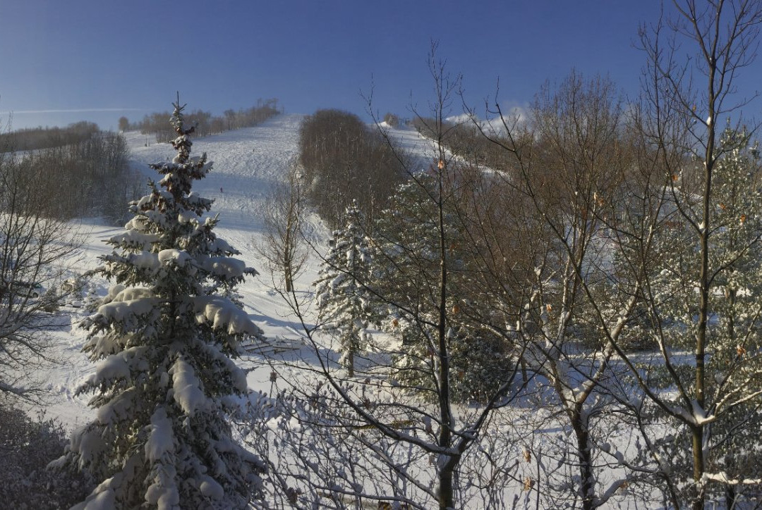 Village Suites by Blue Mountain Resort主图