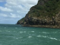 Waiuku Harbour Cruise-Waiuku必去景点