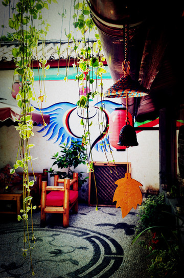 屋顶上的瓦猫小栈主图