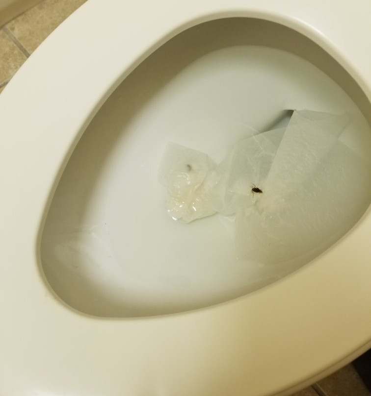 Staybridge Suites Quantico-Stafford by IHG主图