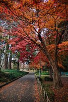 Tochigiken Chuo Park-宇都宫市必去景点