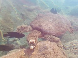 Rio Los Mesquitez-Cuatro Cienegas必去景点