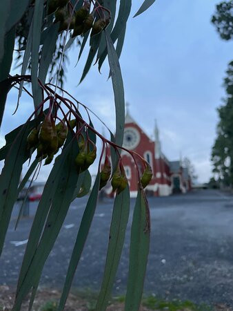Immaculate Conception Church-St Arnaud必去景点