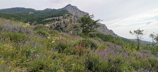 Valley of Ghosts-Luchyste必去景点