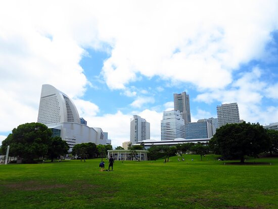 Pacifico Yokohama Rinko Park景点图片