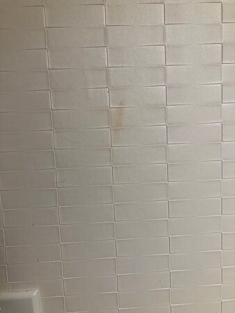 哈利法克斯舒适酒店主图