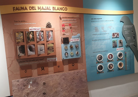 Aula De La Naturaleza, Majal Blanco