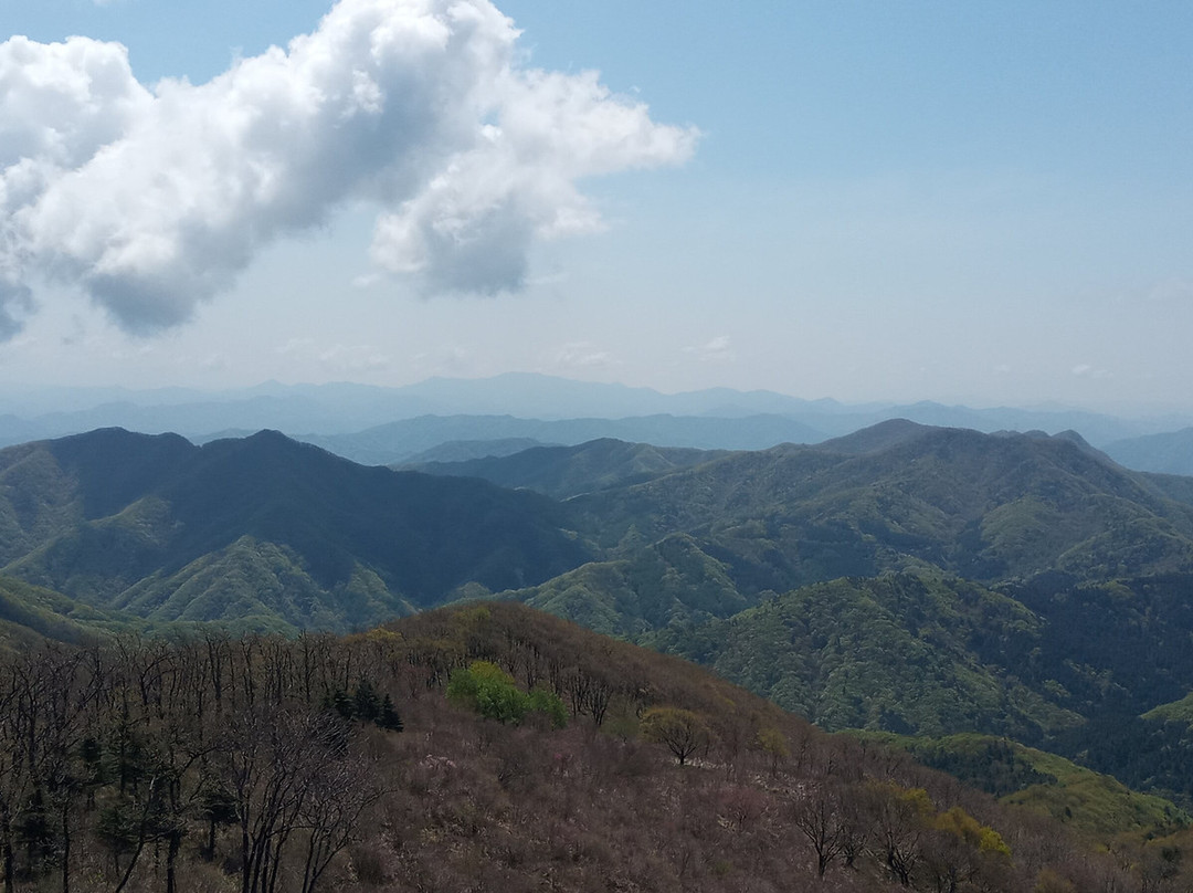 Yeoninsan Dolip Gongwon-加平郡必去景点