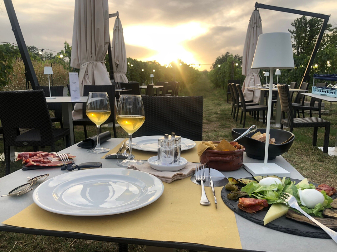 Palazzo Tronconi Agriturismo