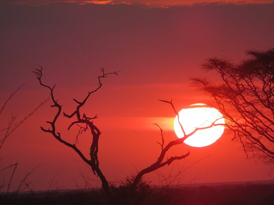 Meru National Park KENYA-Meru National Park必去景点