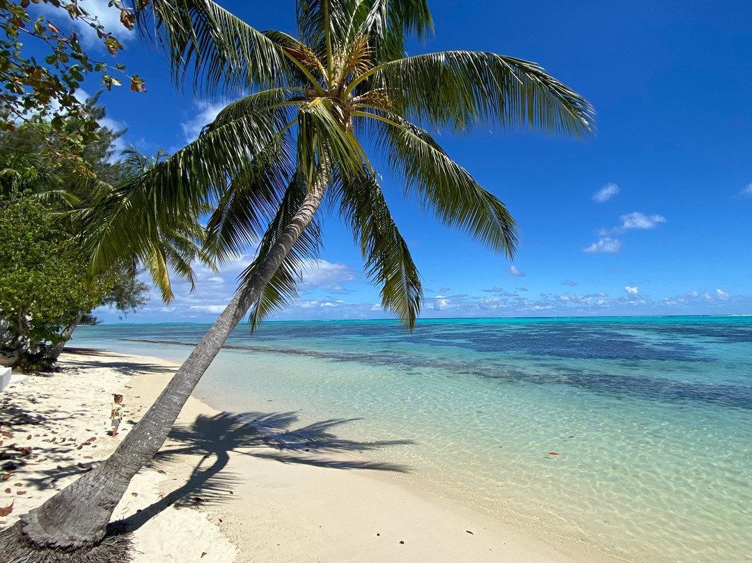 Moorea Island Beach主图