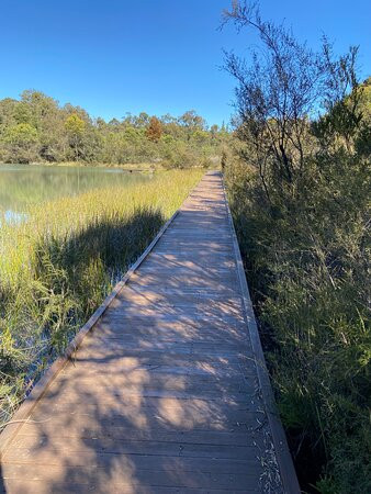 Greenbushes Pool景点图片
