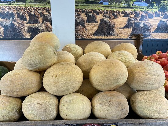 Troyers Country Market-Millersburg必去景点