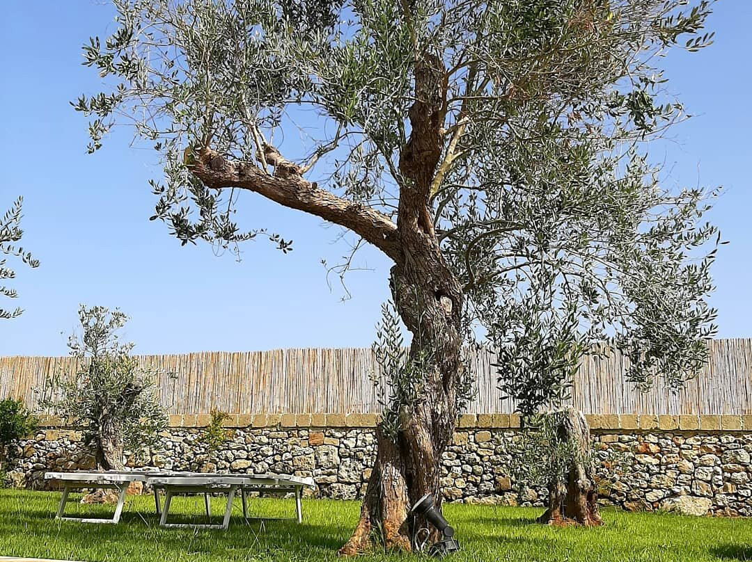 Relais L'Oliveto