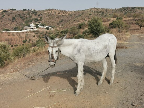 Gr 249 Senda Litoral-Rincon de la Victoria必去景点