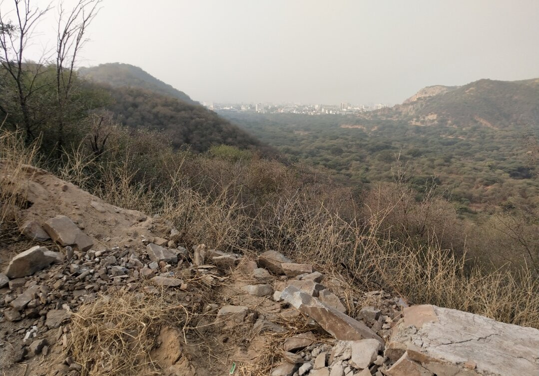 Ratana International主图