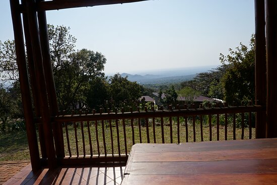 Amafu Forest Lodge-酒店景观