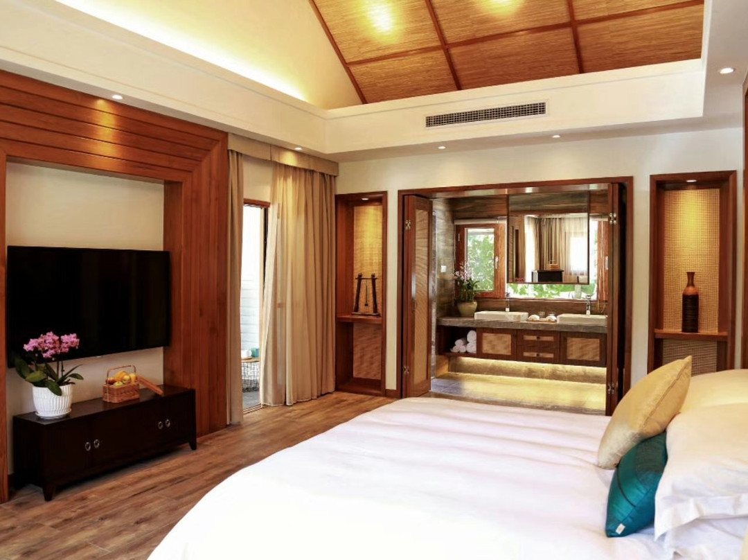 来町栢颐美宿主图