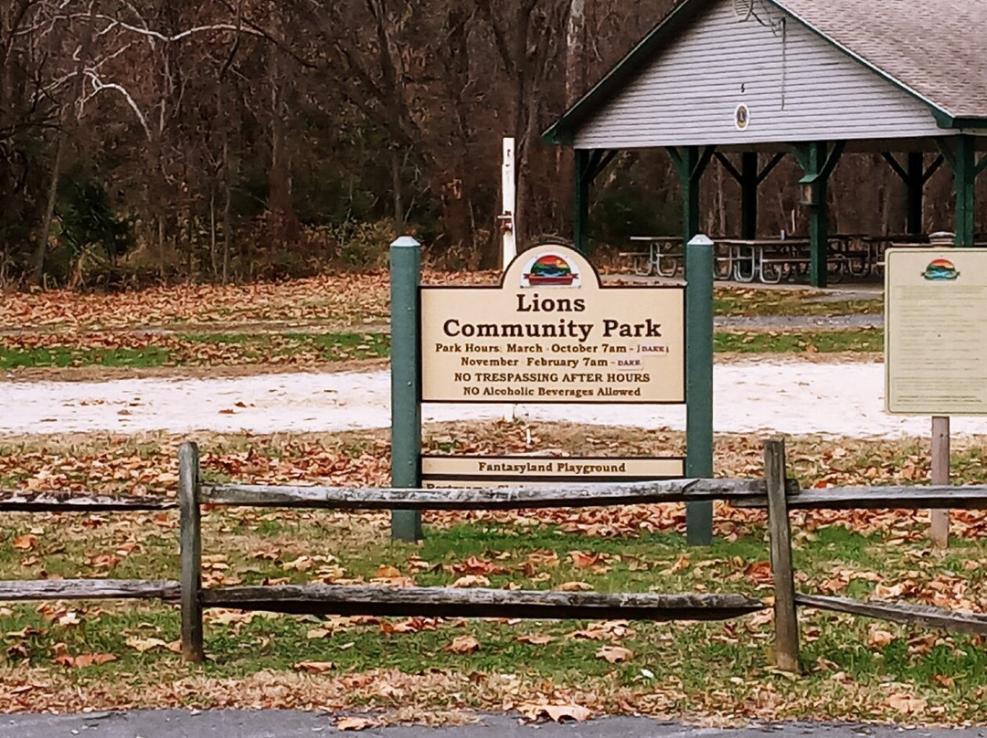 Lions Community Park景点图片