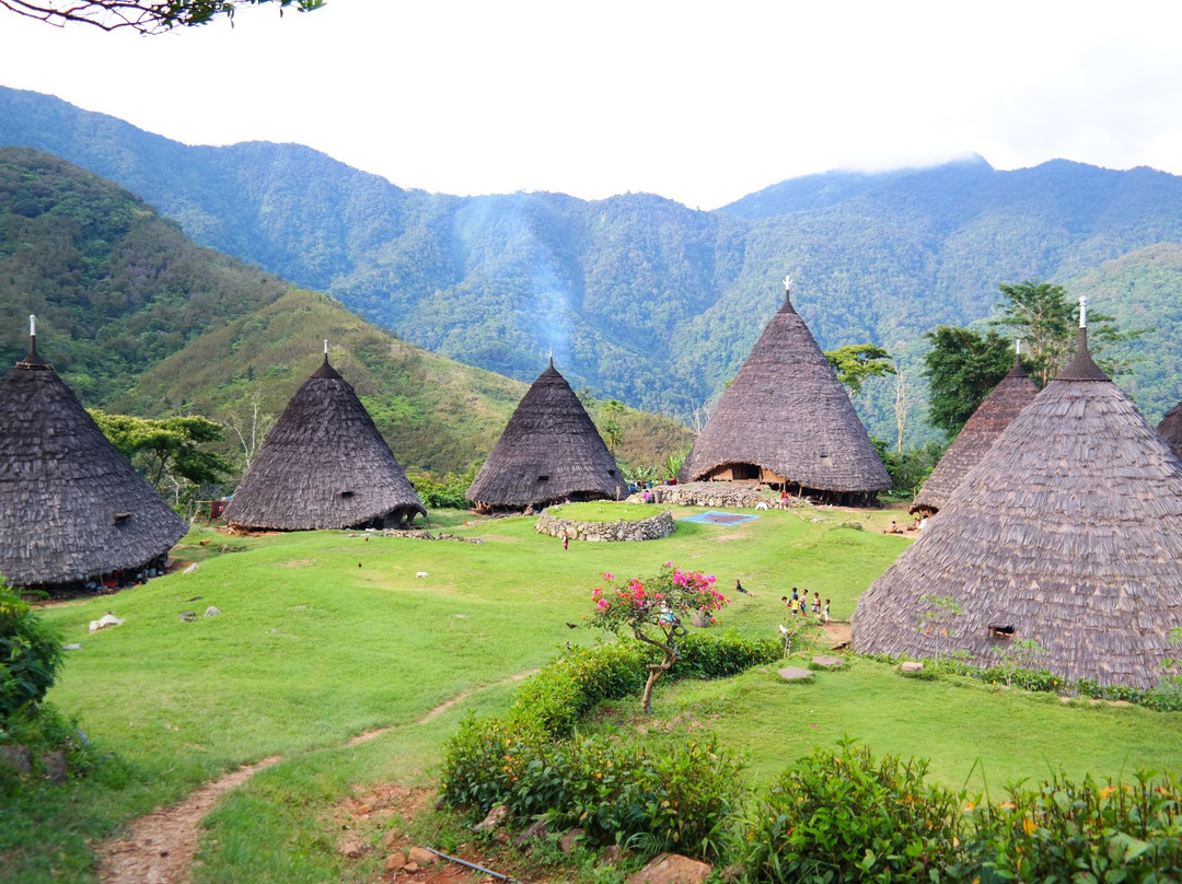 Wae Rebo Village景点图片