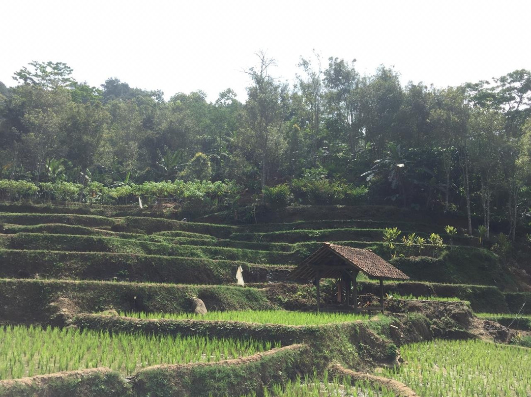 Kuningan旅游景点-Situ Wulukut