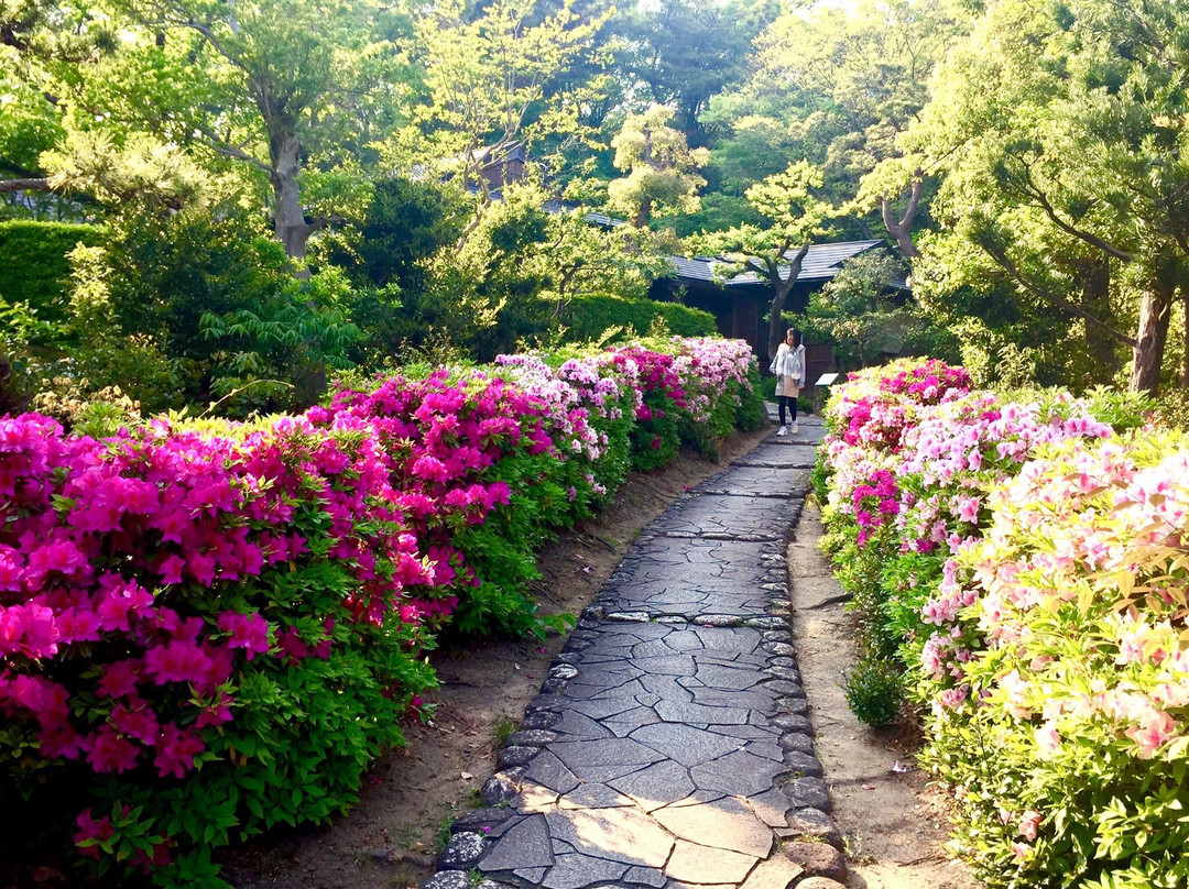 大府市旅游攻略图片