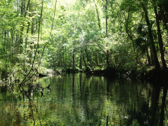 Gulf Hammock旅游攻略图片