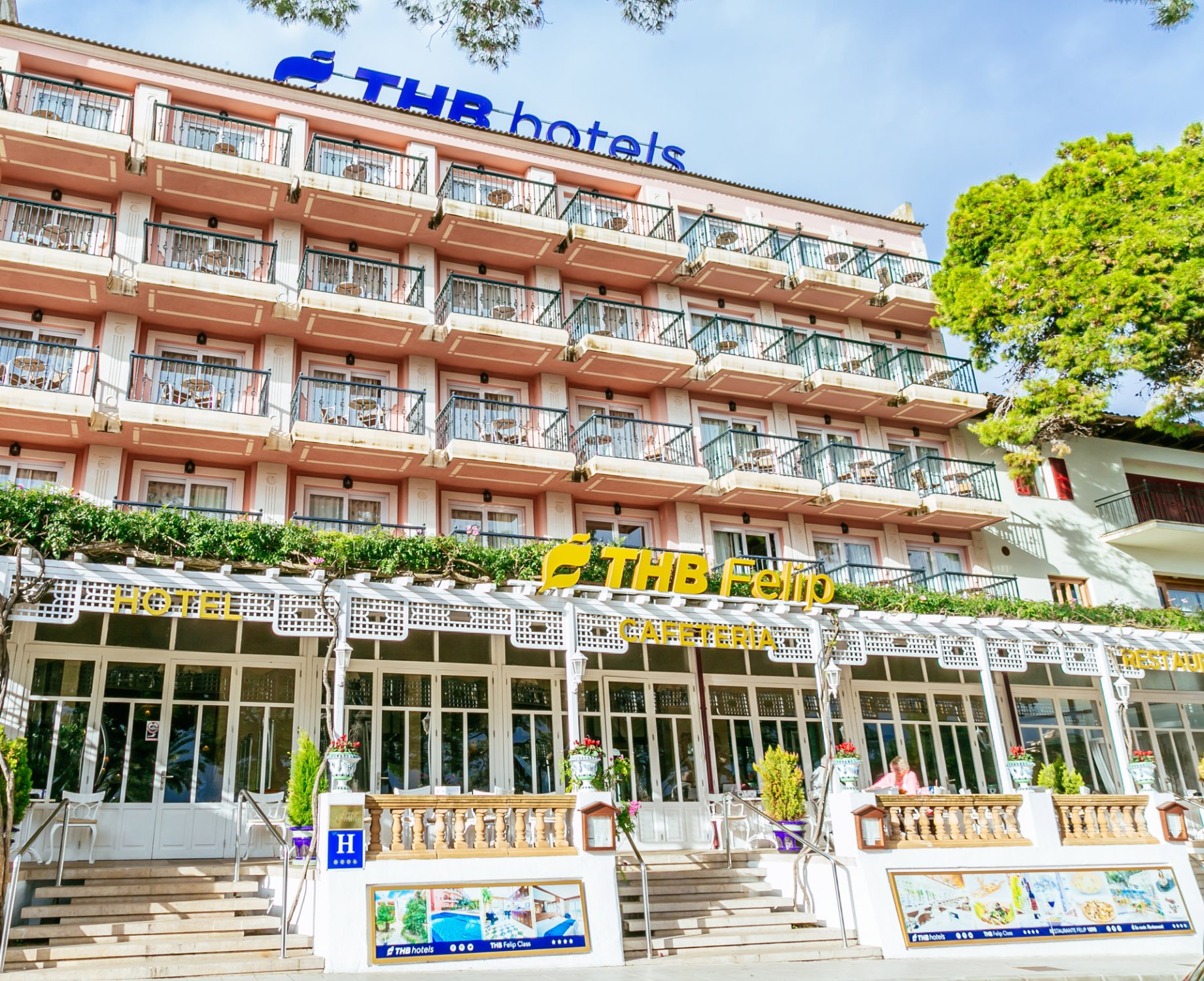 THB Felip-官方