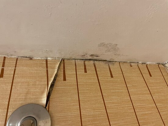 Holiday Inn Express & Suites Bowling Green By IHG主图