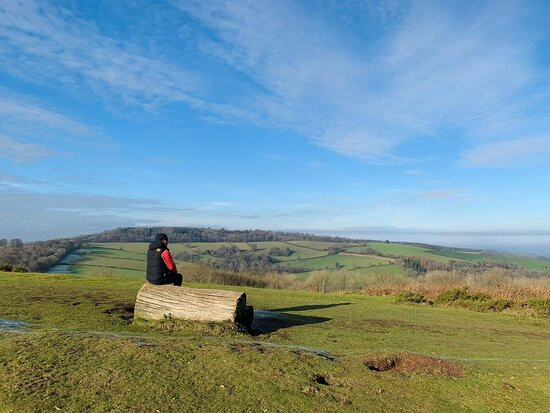 Quantock Hills Area of Outstanding Natural Beauty景点图片