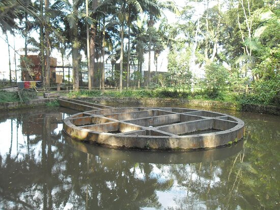 Ecological Park Alfredo Klinkert Junior-Maua必去景点