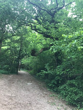 Brotherton Nature Park-Bromborough必去景点