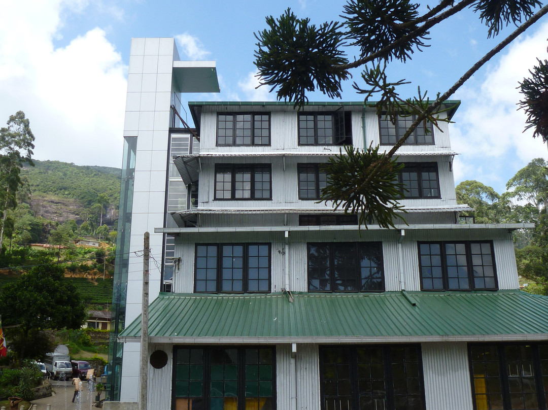 Macwood Tea Factory景点图片
