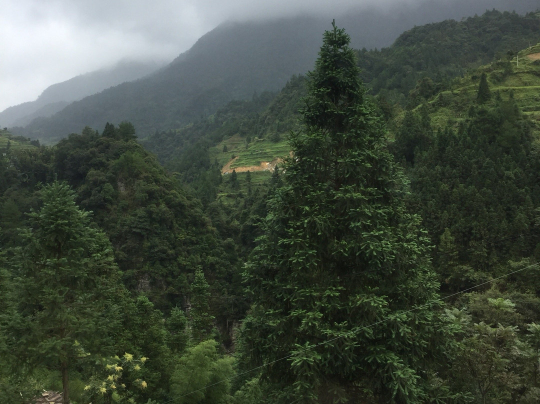 雷山县旅游攻略图片