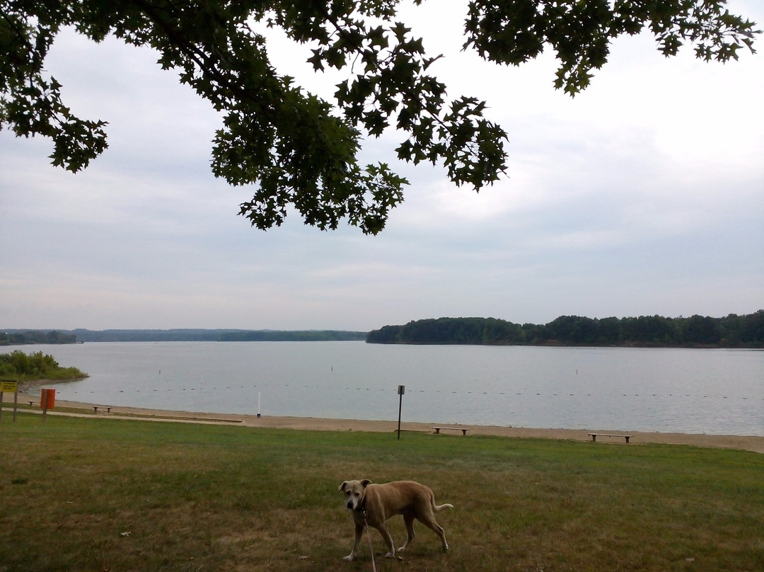 Shenango River Lake景点图片