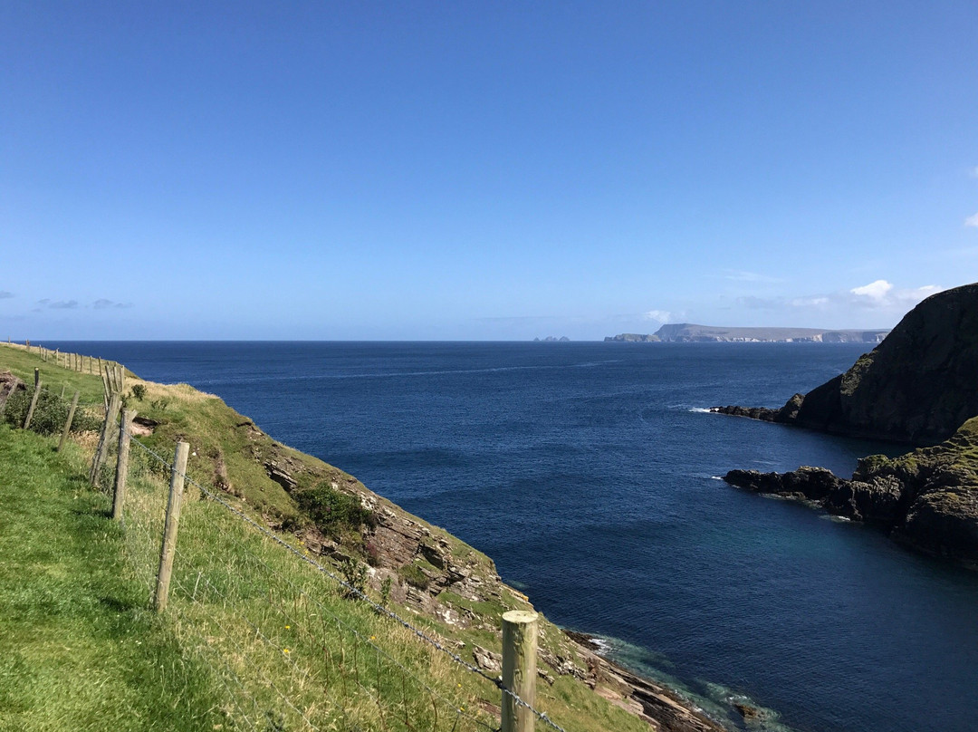 Erris Head Loop Walk景点图片