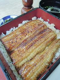 葛饰区餐馆和美食-Kawachiya